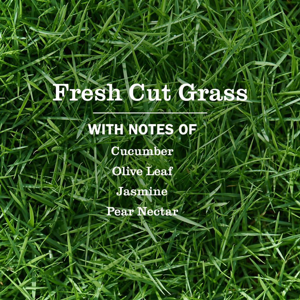 Mrs. MEYER'S Tomato Vine + Dandelion + Fresh Cut Grass / 12.5 Fl Oz (Pack of 1) / 1 All-Purpose Cleaners