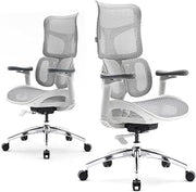 SIHOO Doro S100 Ergonomic Office Chair, Dual Dynamic Lumbar Support, Grey | 4D Coordinated Armrests, 5-Level Backrest Adjustment, 135° Recline, for Home Office