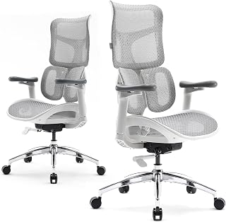 SIHOO Doro S100 Ergonomic Office Chair, Dual Dynamic Lumbar Support, Grey | 4D Coordinated Armrests, 5-Level Backrest Adjustment, 135° Recline, for Home Office
