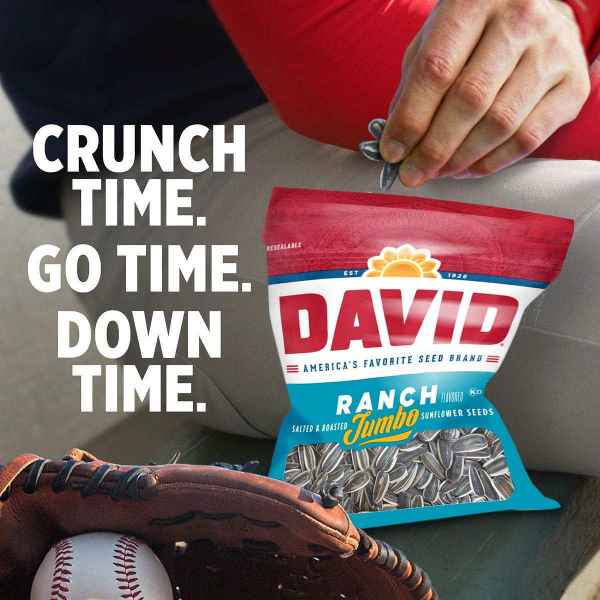 David Ranch,Salted / 5.25 Ounce (Pack of 2) / Tan, Black Sunflower Seeds