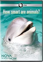 Nova Science Now: How Smart Are Animals