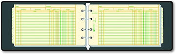 Rediform 63453 1" 4-Ring Ledger Binder with 100 Mini-Ledger Sheets and A-Z Index, 5" x 8.5" (Black)