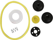 CHAPIN International 987038 6-4602 XP Acid Sprayer Repair Kit for Most Acid Staining Sprayers