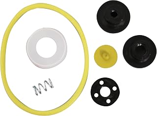 CHAPIN International 987038 6-4602 XP Acid Sprayer Repair Kit for Most Acid Staining Sprayers