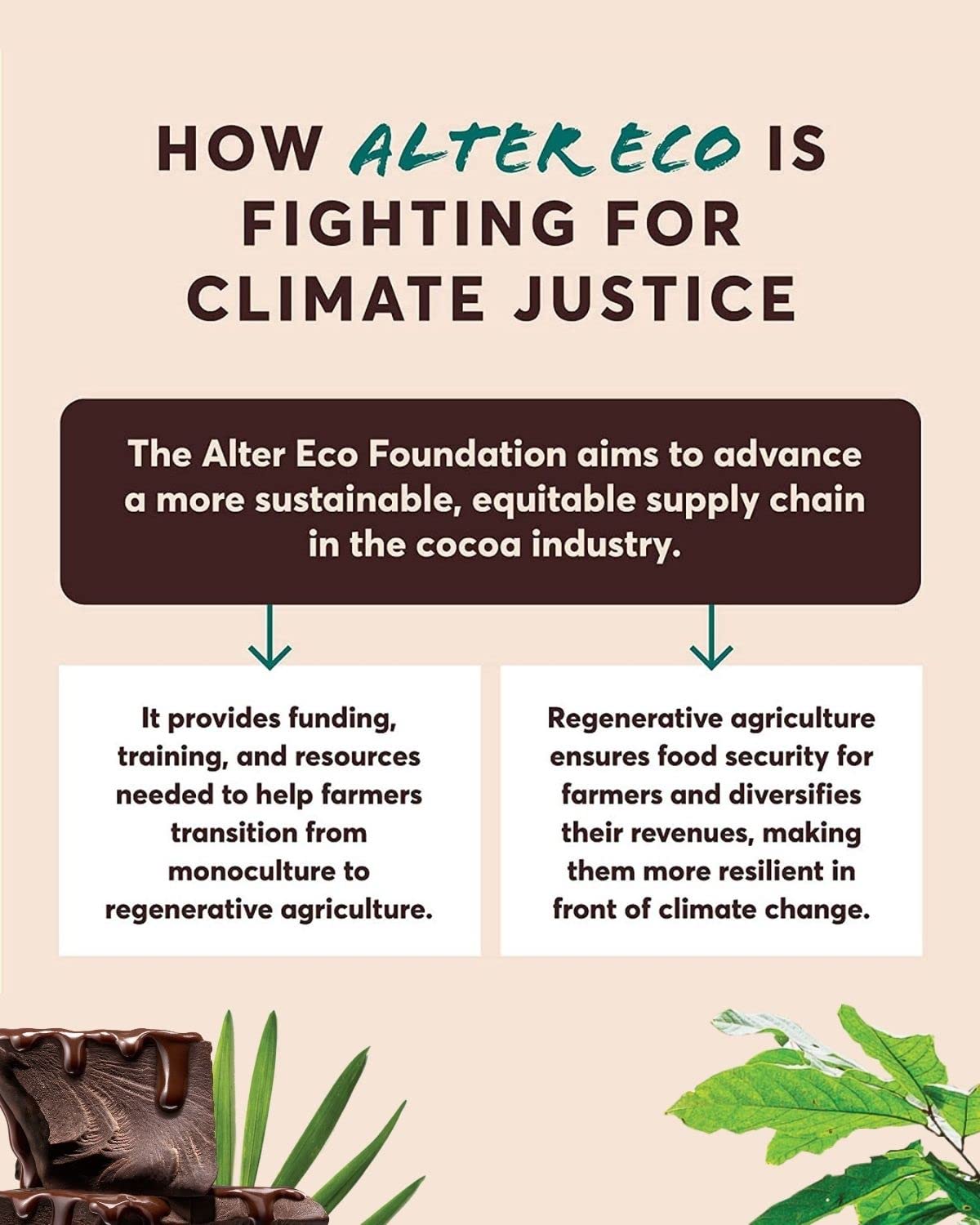 Alter Eco Brown Butter / 4 Count (Pack of 1) / Bar Candy & Chocolate Bars