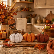 Meetyamor Resin Pumpkin Set, Knit Texture, White Orange Brown