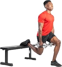 Sunny Health & Fitness Flat Weight Bench with 500 lb Capacity for Home Gym