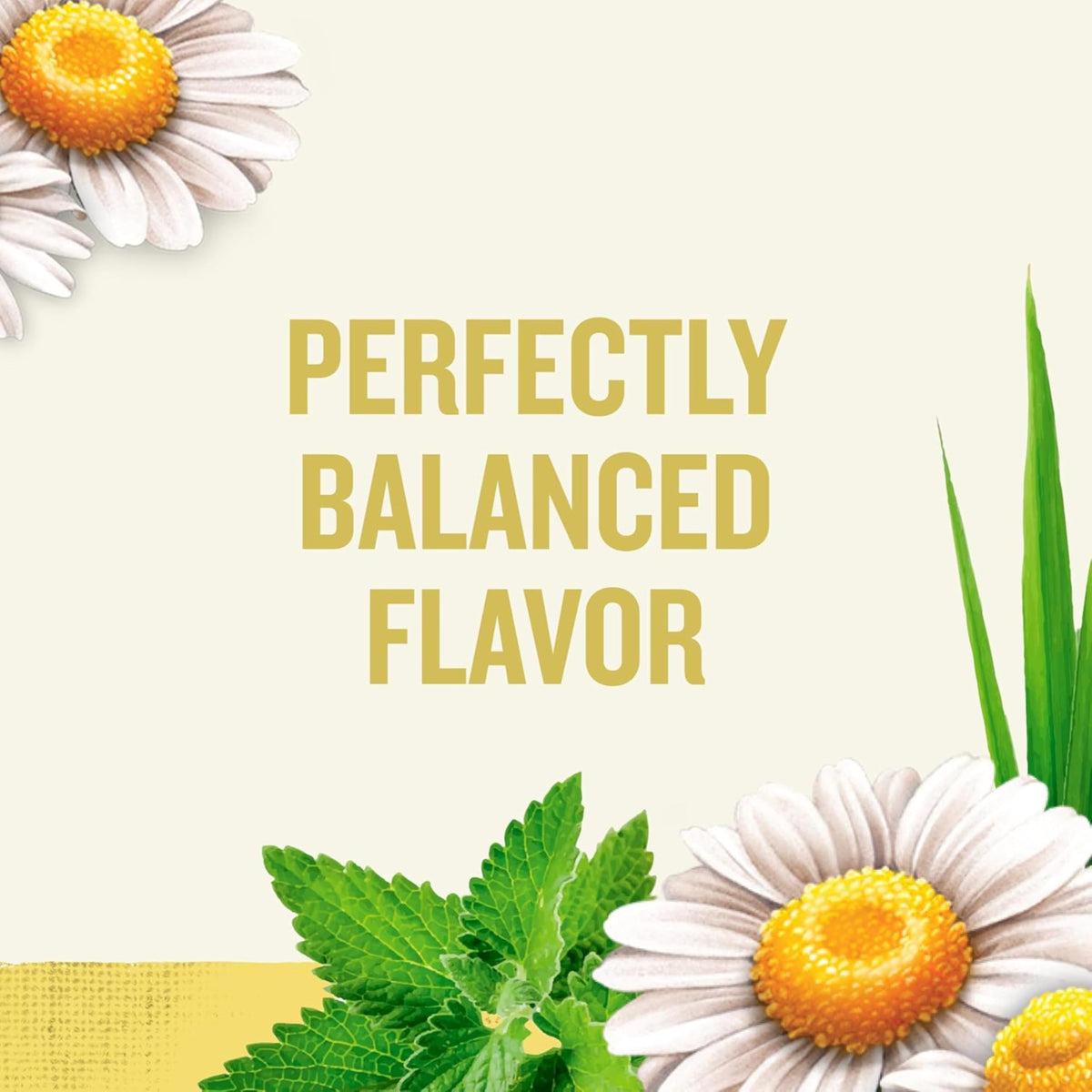 Celestial Seasonings Chamomile / 25 Count (Pack of 1) / 1 Black