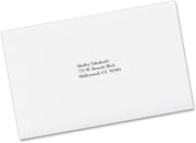 Avery Shipping Label (95915)