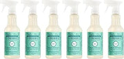 Mrs. MEYER'S CLEAN DAY Multi-Surface Everyday Cleaner, Mint Scent, 16 Fl Oz Bottle (Pack of 6)