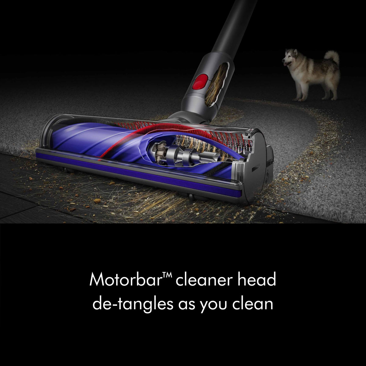 V8™ Cordless Vacuum by Dyson – 0.14 gallons, Silver/Nickel, Model 626423-01