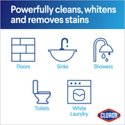 Concentrated Bleach Powder by Clorox – 21.1 Ounce (Pack of 1), Model TU_1674040