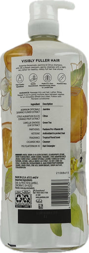 Essential Jasmine & Citrus Shampoo by Pantene – Model 1848919
