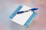 G2 Premium Gel Roller Pens by PILOT – 12 Count (Pack of 2), Plastic, Blue Ink, Pack of 2, Model 31003