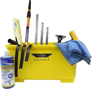 Ettore Professional Window Cleaning Kit with 4' Extension Pole