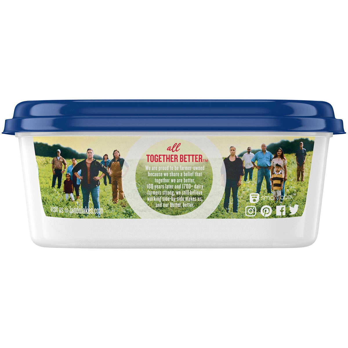 Spreadable Butter with Olive Oil and Sea Salt by Land O Lakes – 7 Ounce (Pack of 12), Pack of 12
