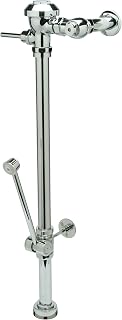 Zurn Z6000PL-BWN1 3.5 Gallon Exposed Valve w/BWNW/'34-3/8" Roughin