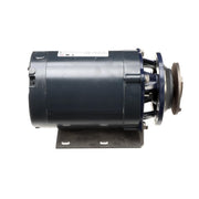 Pump Assembly by American Dish Service – Model 288-1049