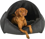 Bowsers Cloud Dream Fur, Large Dog Bed, Canopy Dog Bed, Cloud Fabric
