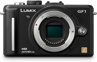 Panasonic Lumix DMC-GF1 12.1MP Micro Four-Thirds Interchangeable Lens Digital Camera Body (Black) (Renewed)