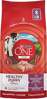 Purina ONE Plus Healthy Puppy Dry Food, Chicken, 8 lb Bag