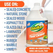 Pet Solutions No Rinse Neutral pH Floor Cleaner Concentrate by OdoBan – 128 Fl Oz (Pack of 2), Clear, Pack of 2, Model 361B61