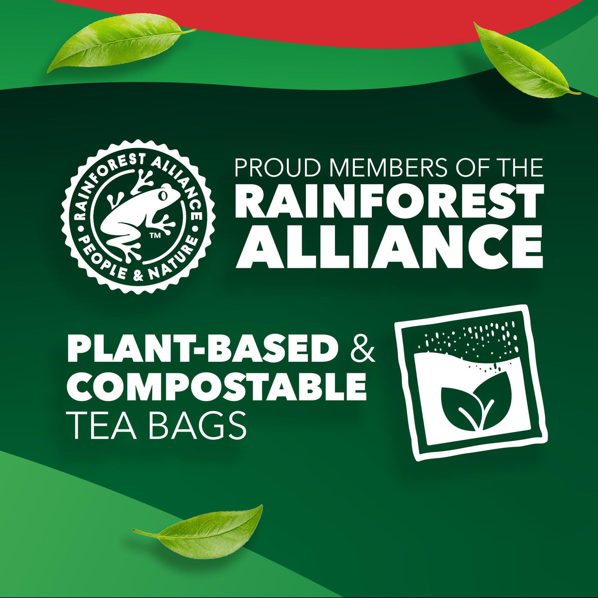 Black Tea Bags by PG Tips – 3.3 in x 2.8 in x 5.6 in, No Color, Pack of 2124, Model PGT00468
