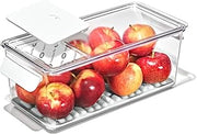 OXO Good Grips Produce Saver Bin with Carbon Filter