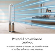 Purifier Cool PC2 De-NOx by Dyson – large, White/Gold, Model 544536-01