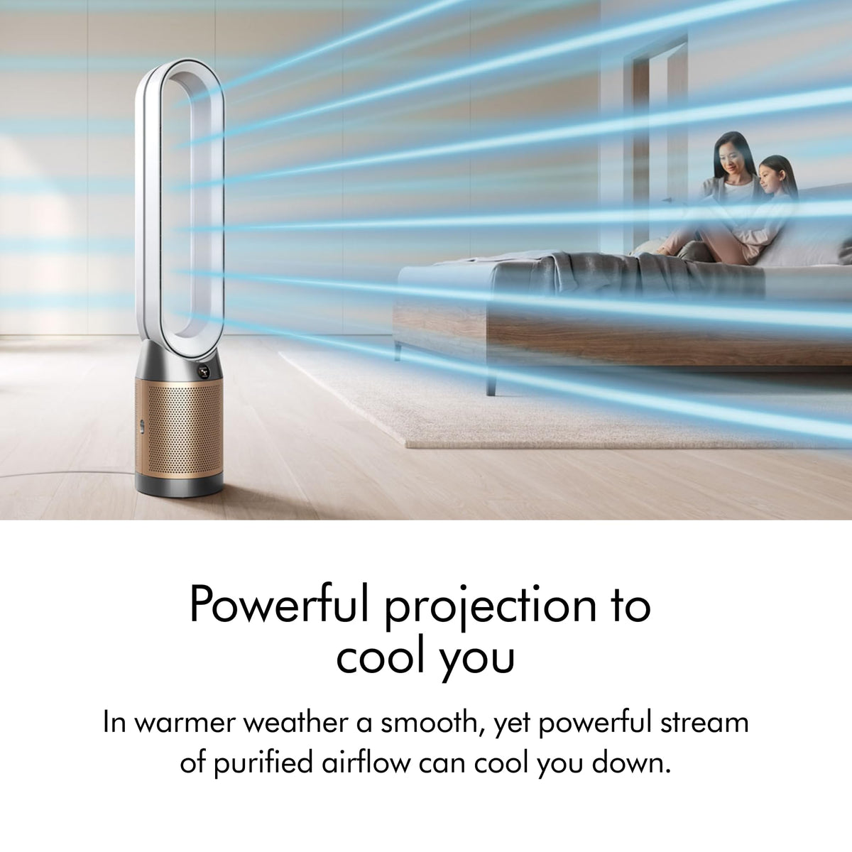 Purifier Cool PC2 De-NOx by Dyson – large, White/Gold, Model 544536-01