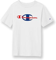 Champion Men's Heritage Short Sleeve Tee, Men’s T-Shirts, Vintage Shirts, Men’s Tee Shirts, Graphics
