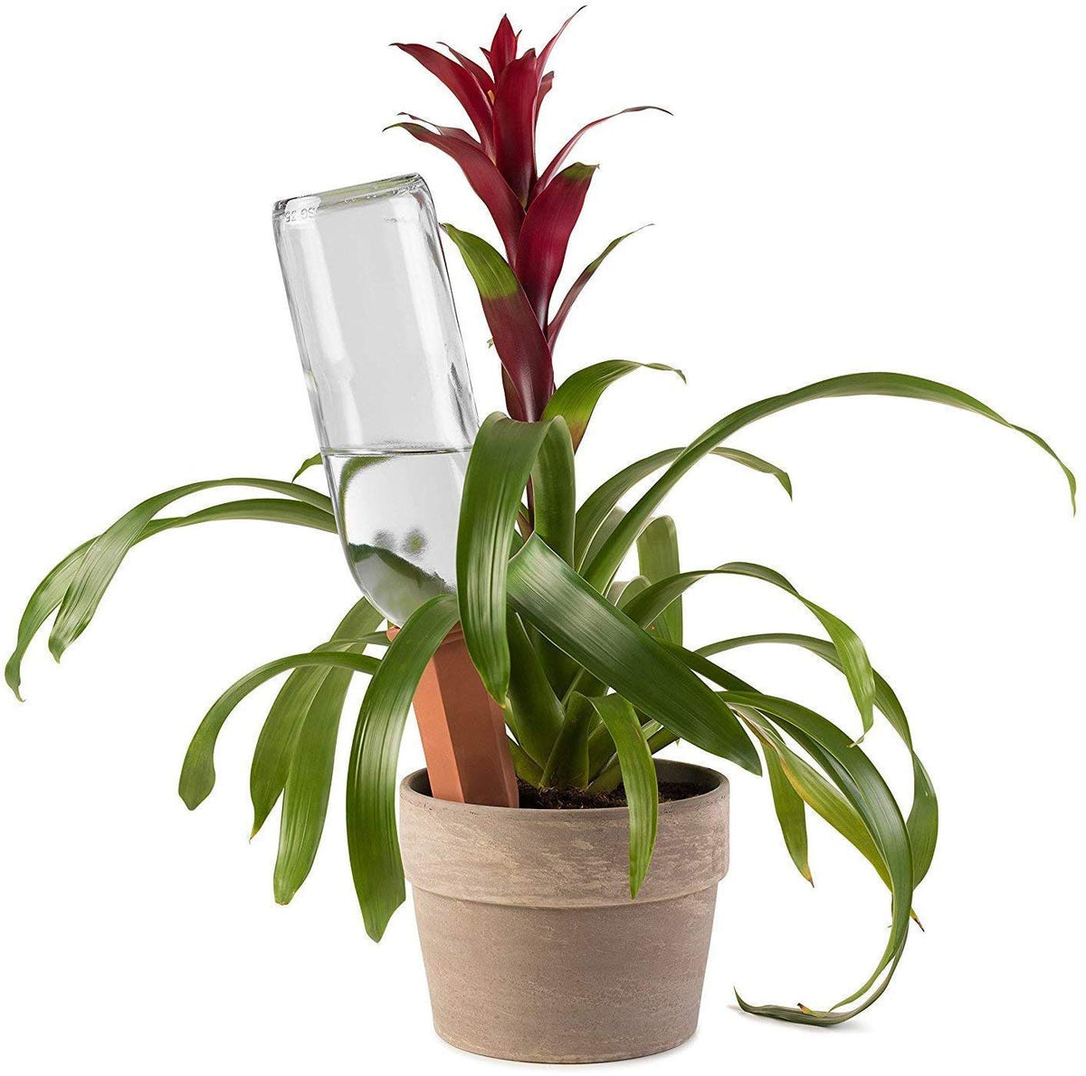 Ceramic Terracotta Self Watering Spikes (4 Pack) Vacation Automatic Plant Waterer Devices by Modern Innovations – 4 Pack, Terracotta, Pack of 4, Model 1065
