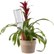 Modern Innovations 4 Pack / Terracotta / Tube Self-Watering Stakes