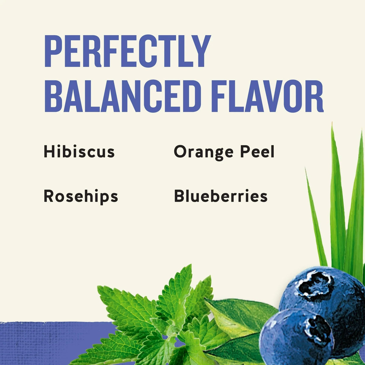 Celestial Seasonings Blueberry / 20 Count (Pack of 3) / 3 Herbal