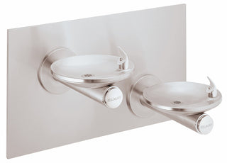 Swirlflo Dual Vr Ftn withFrz Box by Elkay – 1.25, Stainless Steel, Stainless, Model EDFPBVM117FPK