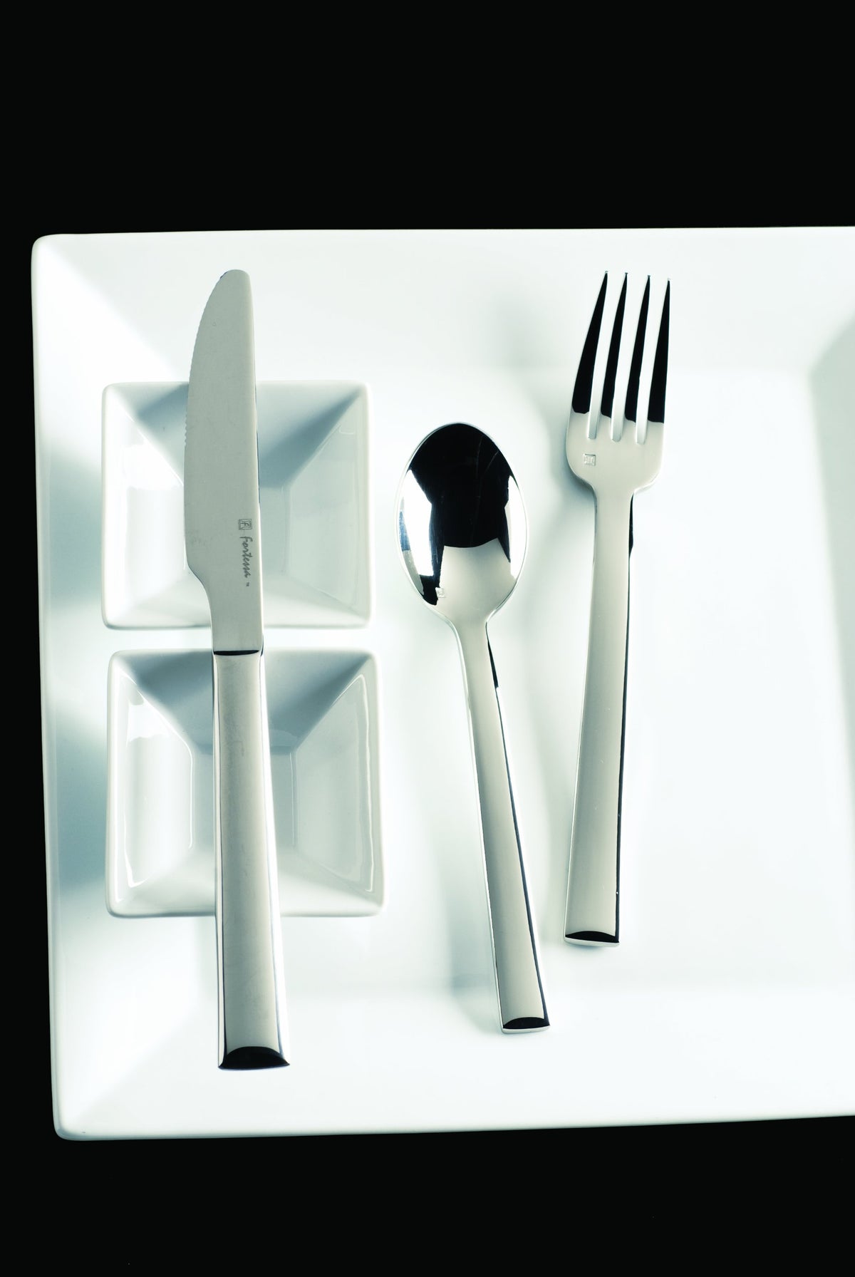 Still 18/10 Stainless Steel Flatware Solid Handle Table Knife by Fortessa – Table Knife, Stainless Steel, Silver, Pack of 12, Model 1.5.118.00.005