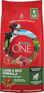Purina ONE Lamb and Rice Dry Dog Food, 8 lb Bag