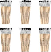 CLI Charles Leonard Flat Tip Paint Brushes, 1/4-inch Natural Bristle, 12 Per Set, 6 Sets (CHL73125-6)