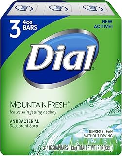 Dial Mountain Fresh Antibacterial Deodorant Soap 4.5 ounces each 3-Count (2 Pack)