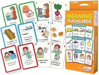 Junior Learning JL207 Meaning Flashcards Medium
