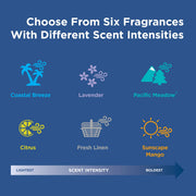 Georgia-Pacific Stainless / 1 Count (Pack of 1) / 1 Air Fresheners
