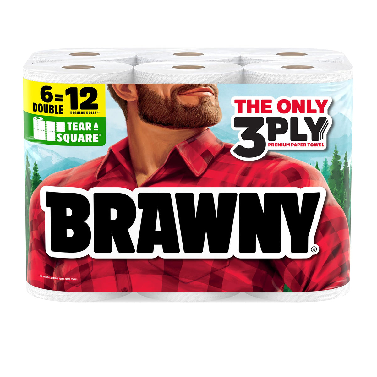 Tear-A-Square 3-Ply Paper Towels by Brawny – 100 Sheets (Pack of 6 New), Paper, White, Pack of 6, Model 445885