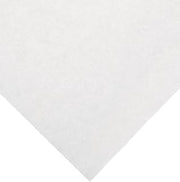 Thermosafe ZORB66 Absorbent Sheet, Holds 360ml Water and 90ml Blood, 6" Length x 6" Width (Case of 500)