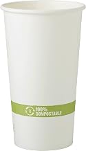 100% Compostable Paper Cups by World Centric, Made from FSC Certfied Paper, Plant Based Bio Lining, for Hot Drinks, 20 oz, (Pack of 1000), White with green stripe (CU-PA-20)