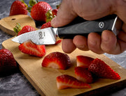 Mercer Culinary Paring Knife, G10 Handle 3.5 Inch / 3.5" / G10 Handle Paring Knives