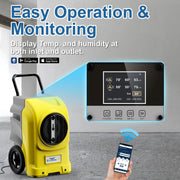 ALORAIR Yellow / Large / Storm Elite Dehumidifiers