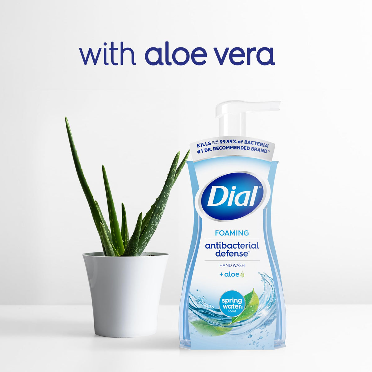 Dial 30 Fl Oz (Pack of 1) / Blue / 1 Hand Wash