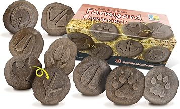 YUS1065 Let's Investigate Farmyard Footprints Stone (Pack of 8)