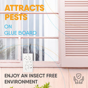 Flyweb Fly Light Glue Boards 2 Pack of 10 Replacement Glue Boards for Flyweb Classic Fly Light and Flyweb Plus - Trap Fruit Flies by Gardner – Each (Pack of 2), White, Model EL-64