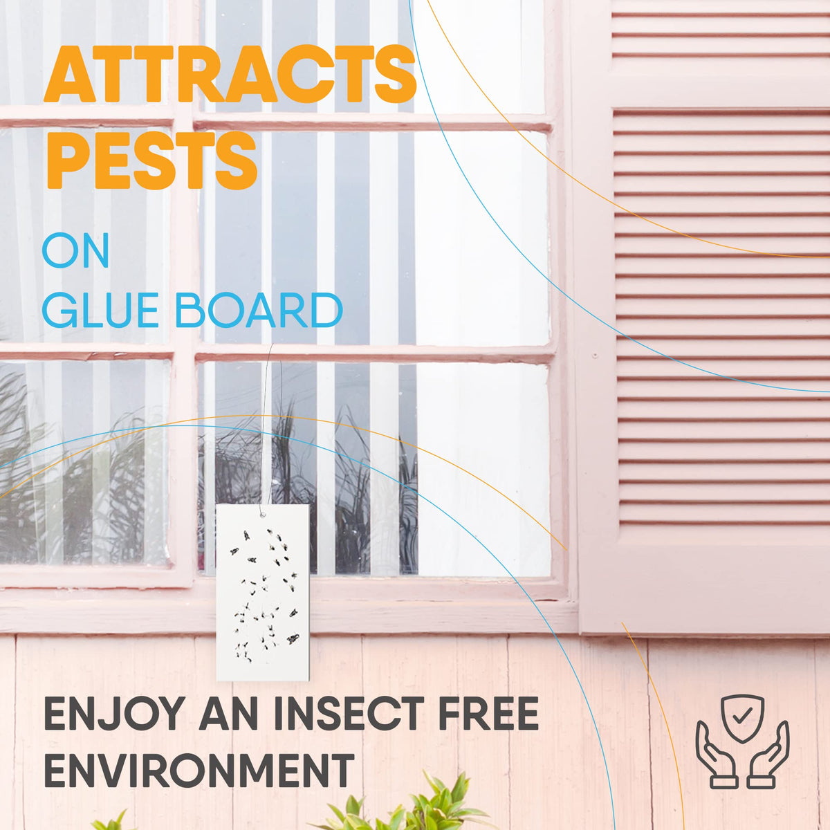Flyweb Fly Light Glue Boards 2 Pack of 10 Replacement Glue Boards for Flyweb Classic Fly Light and Flyweb Plus - Trap Fruit Flies by Gardner – Each (Pack of 2), White, Model EL-64
